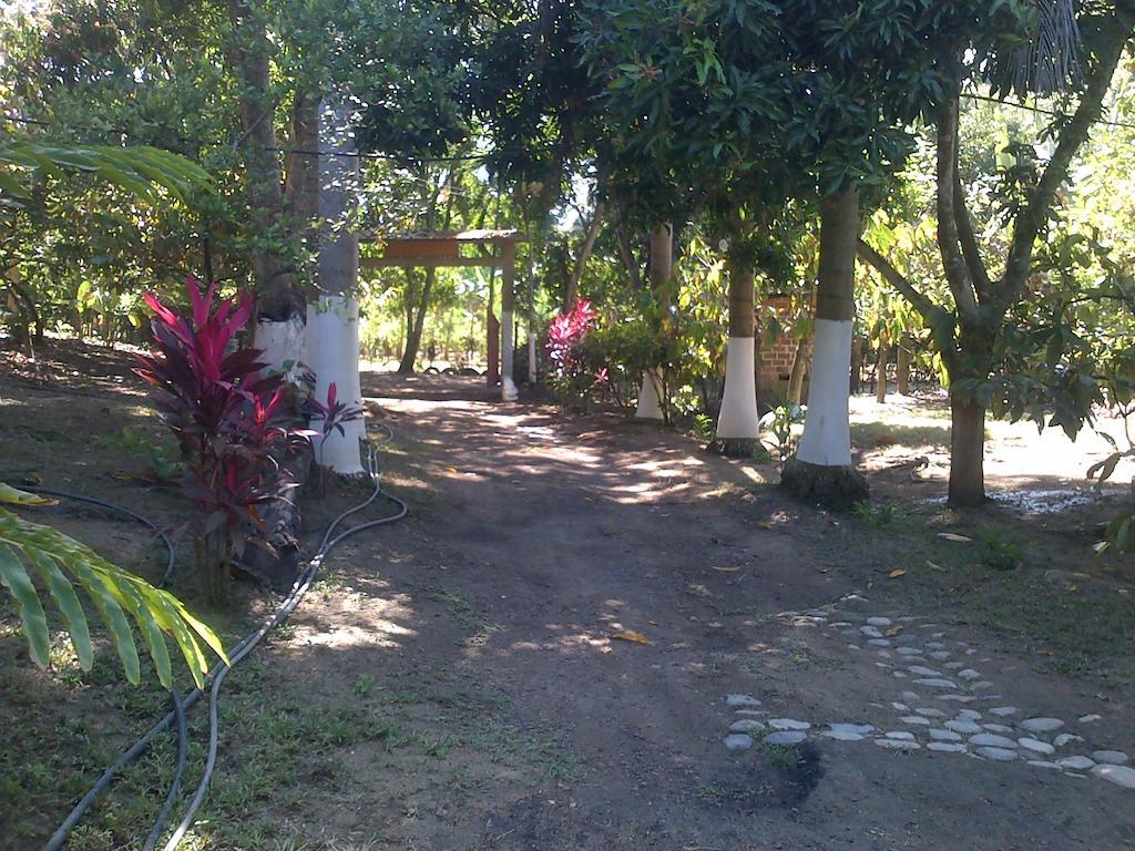 Posada Villa Margarita Los Naranjos Exterior photo