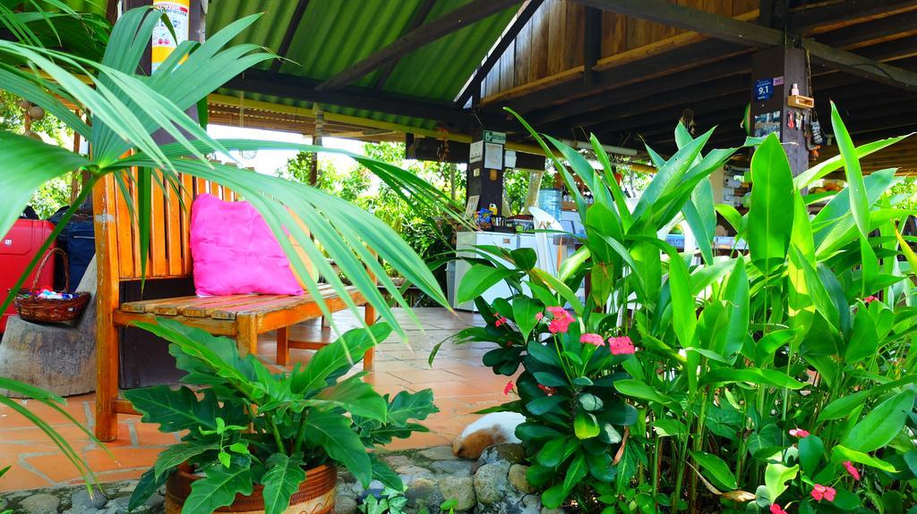 Posada Villa Margarita Los Naranjos Exterior photo